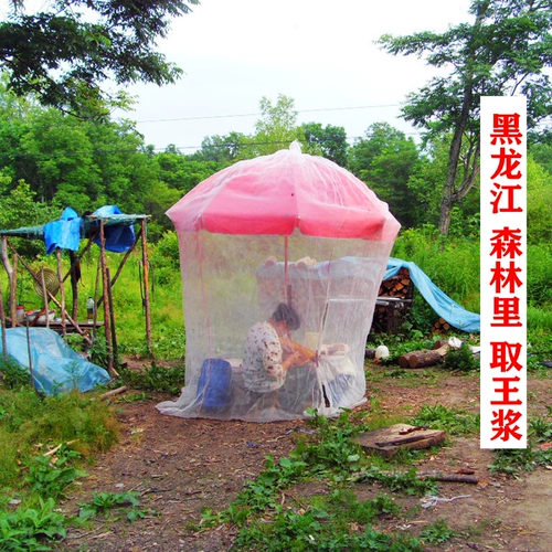 Лесная королевская пульпа медовая черная пчела Королевская желе, медовая свежая пчела королевская пульпа, чистого натурального фермы добывает 2 фунта