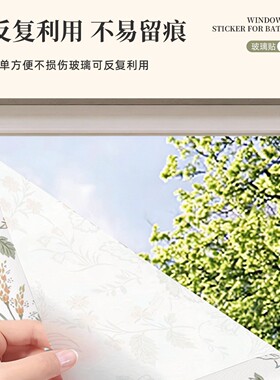 法式玻璃贴纸透光不透明窗户防窥