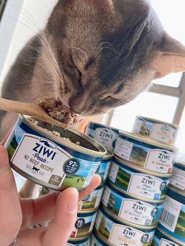 腐败猫新西兰ZiwiPeak滋益巅峰无谷猫罐布偶猫主食罐头 - 图0