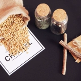 Коррупционная кошачья котковая котенок высококлассный набор кошачьей травы для цветочного горшка придает кошачье мясое настойка пшеницы