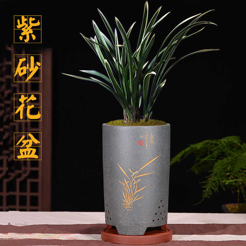 室内盆栽花盆 新人首单立减十元 21年8月 淘宝海外