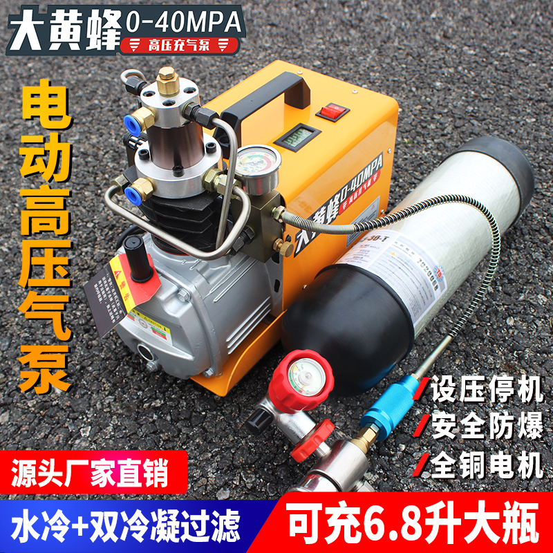 大黄蜂高压打气机30mpa高压气泵40mpa小型单缸水冷电动充气泵冲气 - 图0