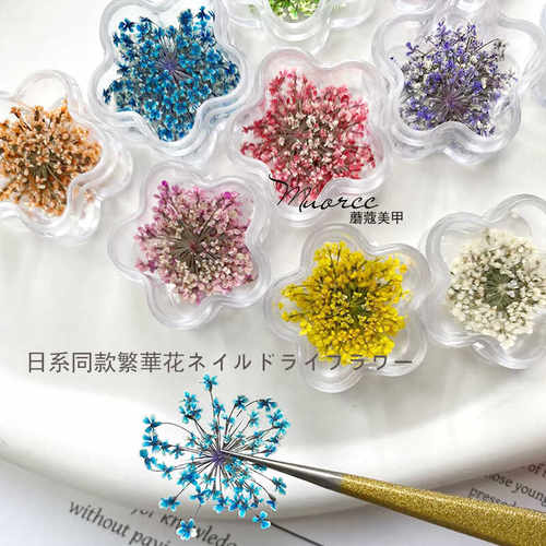 日系smint同款美甲押花蕾丝花渐变小清新浪漫干花指甲装饰品配件 - 图2