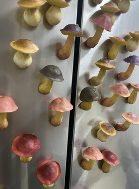 蘑菇冰箱贴树脂粘土手工冰箱贴磁吸立体创意卡通装饰品野生菌手作
