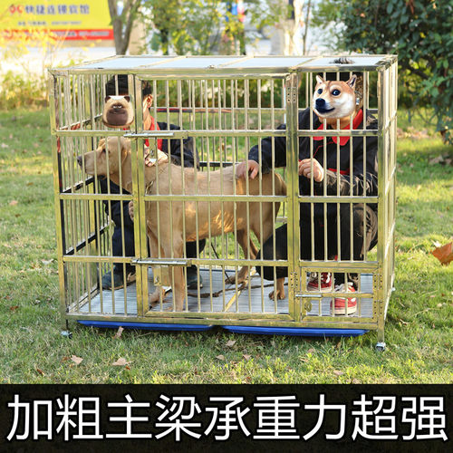 不锈钢加粗厚狗笼子折叠小中大型犬拉布拉多金毛德牧萨摩泰迪柯基 - 图1