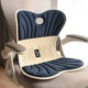 ແອວສະຫນັບສະຫນູນ ergonomic cushion ປອມ sedentary