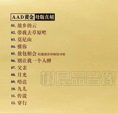 正版乐升唱片 2021云飞新专辑 云飞传说 AAD黄金母盘直刻CD碟 - 图0