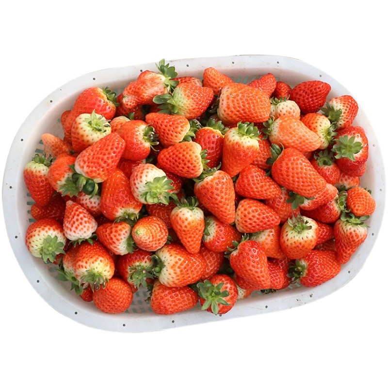 草莓种子四季播儿童种植小盆栽蔬菜 阳台种菜阳台易播种 原厂包装 - 图3