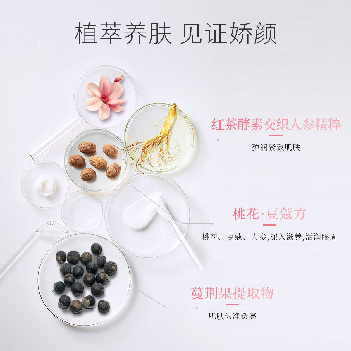 佰草集肌活新颜焕肤修护30ml精华液 佰草集液态精华