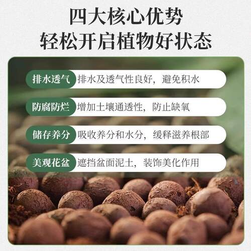 陶粒垫底养花专用花盆铺面水培花卉种花陶土颗粒园艺陶粒土透气土 - 图2