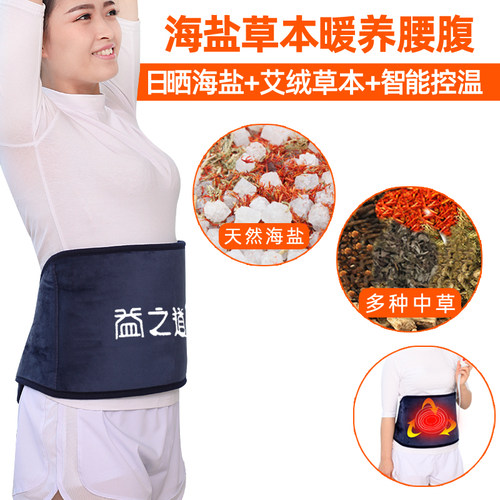 电加热盐袋海盐粗盐热敷包肚子腹部腰带护腰艾草理疗袋子家用盐包 - 图1