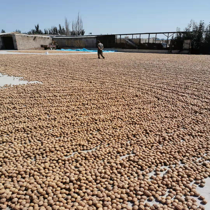 23年新货新疆阿克苏185原味生纸皮核桃500g包邮孕妇休闲零食坚果 - 图1