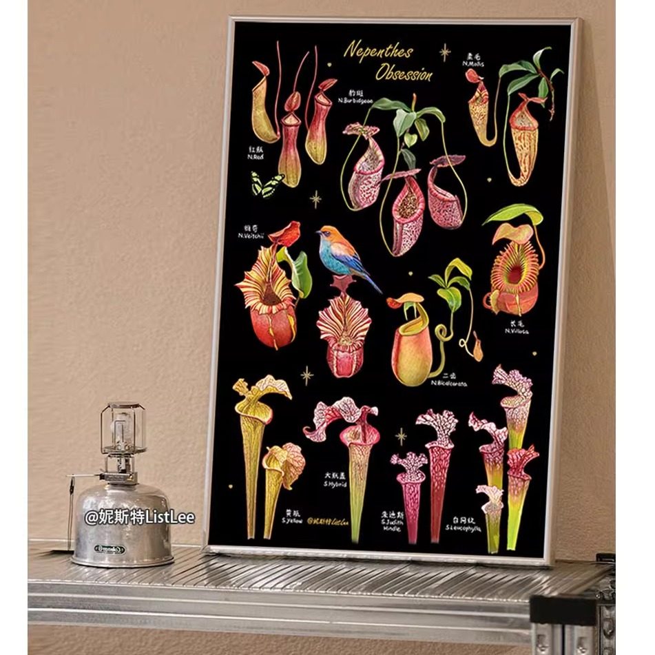 总有美好在发生 | 北欧INS风植物画 原创客厅装饰画玄关沙发挂画,淘宝优惠券,粉丝福利购,淘宝优惠卷