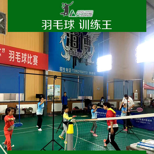 直销艾羽菲斯羽毛球训练王成人定向教练练习挥拍吊架儿童步伐灵活 - 图2