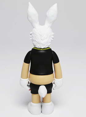 Rang日本代购＃FR2 Fxxking Rabbits ×T9G Figure Doll兔子公仔