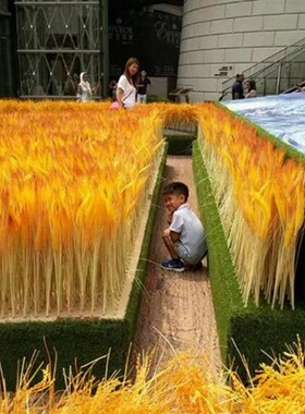 塑料麦穗丰收舞蹈道具家居摆设