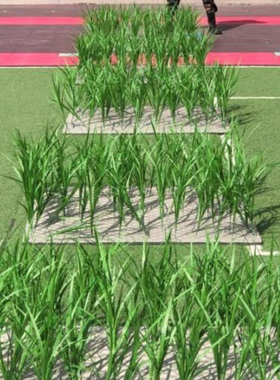 农运会 舞蹈道具假禾苗绿色植物仿真稻草 假麦苗稻草比赛绿色秧苗