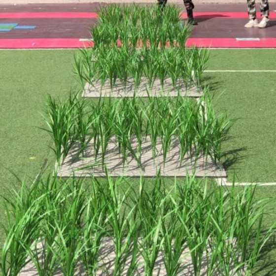Agricultural Games dance props fake wheat seedlings green plants simulated straw fake wheat seedlings straw competition green seedlings