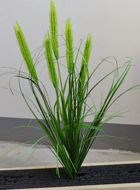 高仿真青稞麦子小麦大麦麦穗  假花植物麦田装饰道具麦穗道具教具