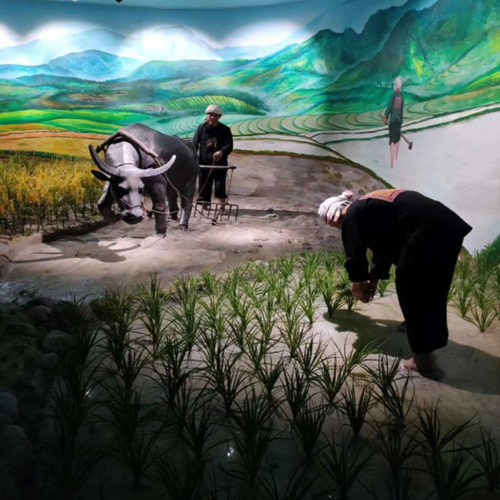 热卖仿真秧苗麦苗塑料假青草特大水草韭菜叶装饰舞蹈禾苗道具稻谷 - 图1