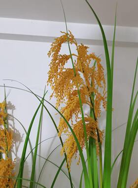 巨型仿真水稻谷穗 舞台道具教具麦穗 农耕文化 比赛特大稻草麦穗