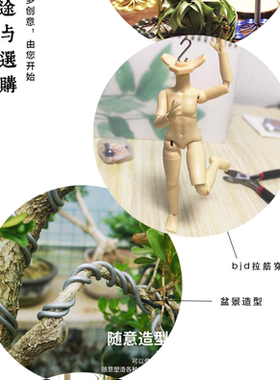 彩色氧化工艺铝线定型塑形造型