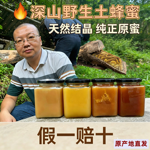 蜂蜜土蜂蜜纯正天然蜂蜜农家土蜂蜜深山蜂蜜秦岭野生无添加土蜂蜜 - 图2