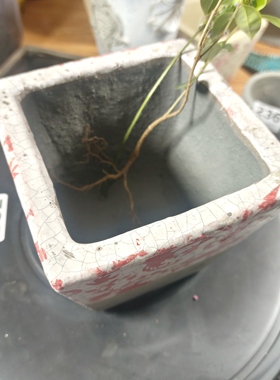 097红色复古正方形多肉植物花盆，微瑕，不退换