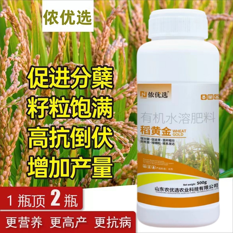 稻黄金水稻高产专用叶面肥促分蘖抗病抗倒伏籽粒饱满灌浆增产增收 - 图0
