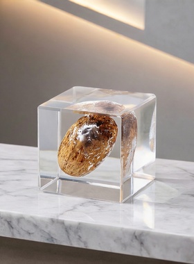 简约现代透明树脂内置物方块摆件