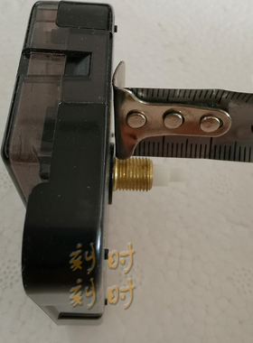 丽声中间机芯摆动挂钟