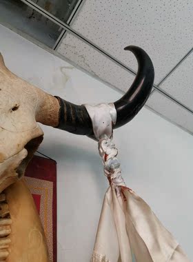 牦牛头骨工艺品天然真牛头装饰羊头骨标本特色手工艺牛头墙挂摆件