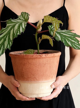 景德镇粗陶花盆家用透气多肉植物
