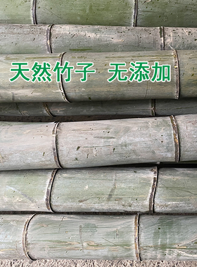 毛竹竹筒新鲜现砍竹筒