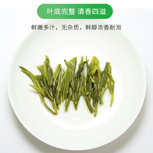 2026汉中毛尖春新茶汉江春陕西手工毛峰绿茶西乡炒青茶叶自喝推荐 - 图3