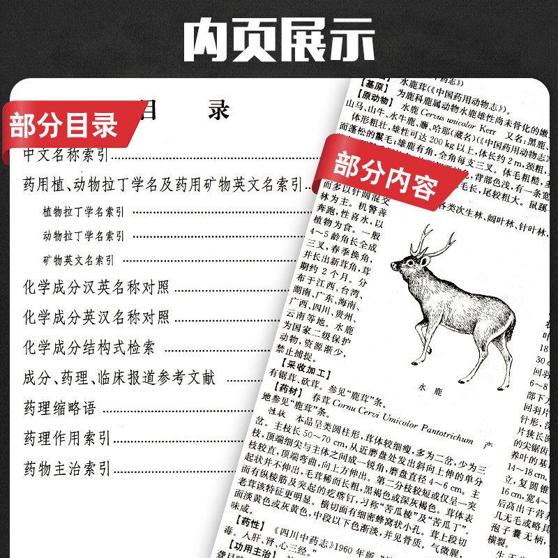 中药大辞典第二版上下册+附编第2版3本套中药学词典工具书南京中医药大学编著上海科学技术出版社
