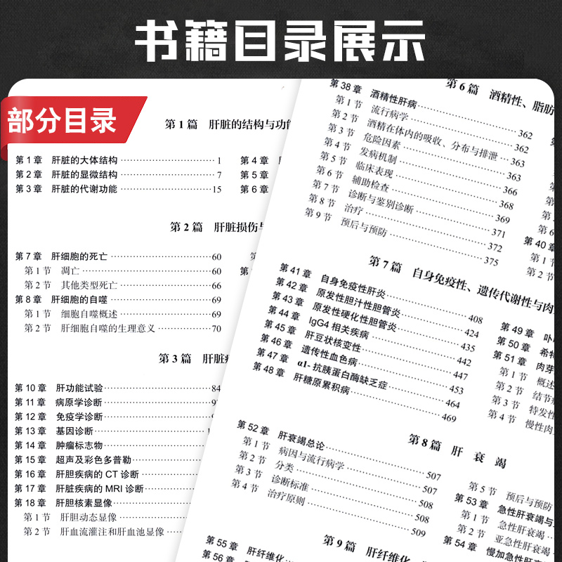 新版 宝恩肝脏病学 第2二版 贾继东 任红 肝疾病诊疗 可作为指导肝病科医生临床实践的参考书 学习肝脏病学教科书 科学出版社