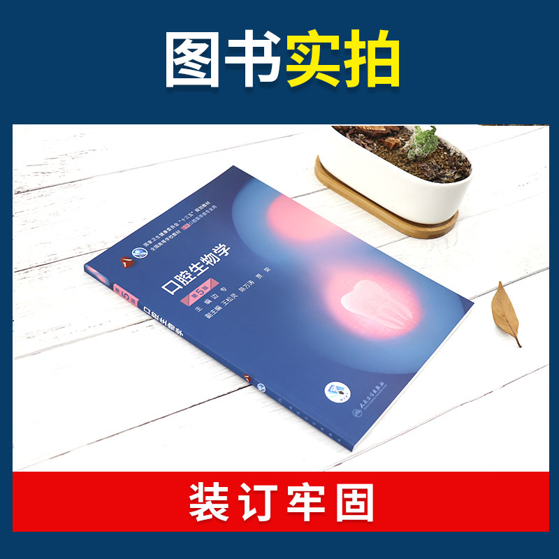 口腔生物学 第5版 边专 主编 供本科口腔医学类专业用 十三五规划教材课本书籍 第8轮本科口腔第4版教材 大学教材 人民卫生出版社
