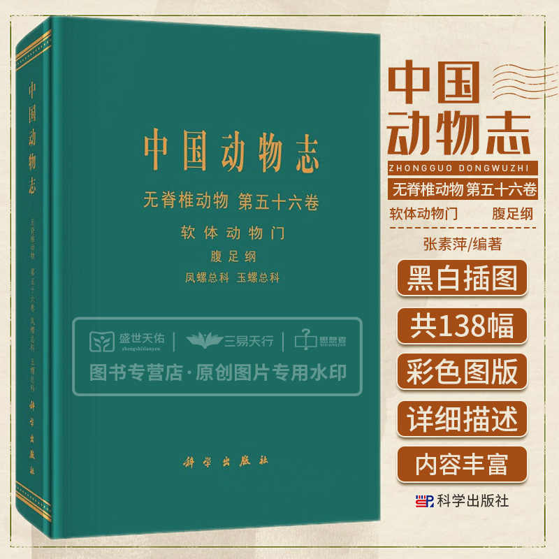 足綱 新人首單立減十元 22年11月 淘寶海外