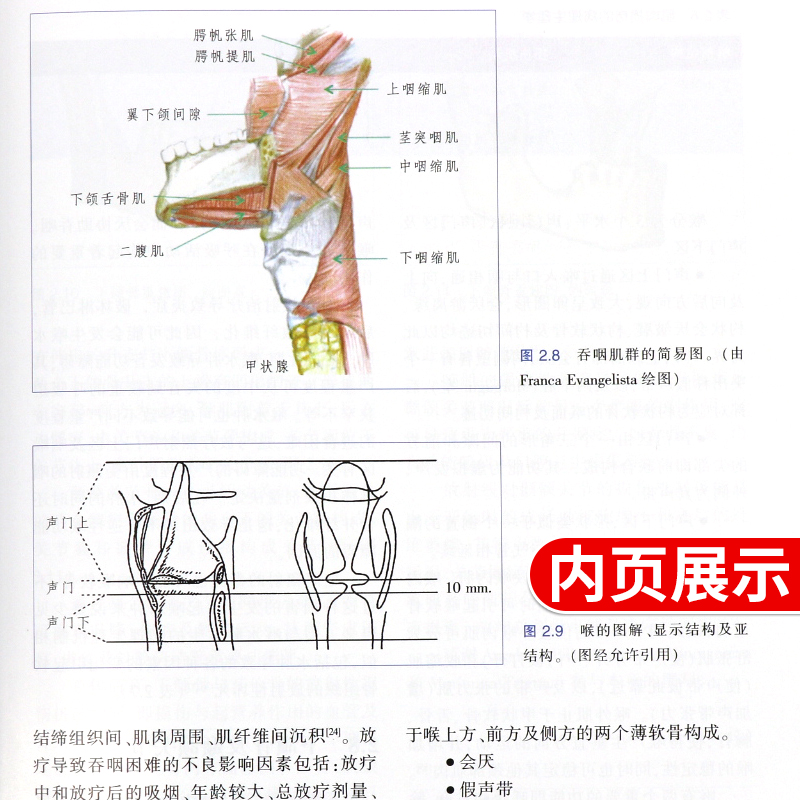 肿瘤放射治疗靶区勾画与射野设置适形及调强放射治疗实用指南+肿瘤放射治疗危及器官勾画2本套装 天津科技翻译出版公司 - 图1