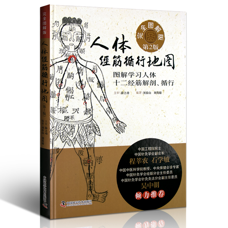 Z正版人体经筋循行地图(第2版)图解学习人体十二经筋解剖、循行刘春山刘荷婧编著中国科学技术出版社-图3