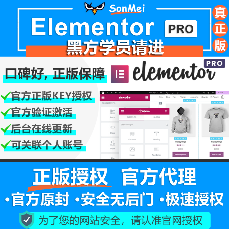 Elementor Pro官方正版Key授权在线更新WordPress模板编辑器插件,淘宝优惠券,粉丝福利购,淘宝优惠卷