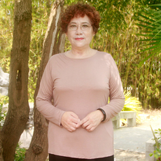 Одежда для дам 中老年女装春秋新款圆领莫代尔长袖t恤特大码宽松上衣妈妈打底衫