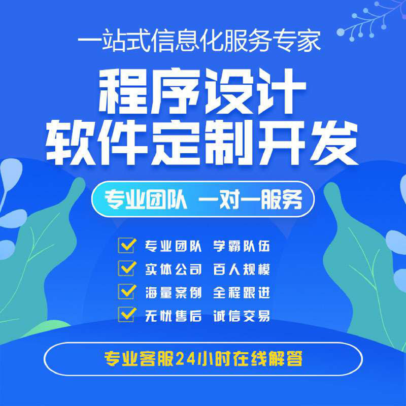 程序开发代编软件编程制作程序代跑源码测试程序设计语言设计开发 - 图0