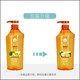 Bee Flower Ginger Hair Strengthening Shampoo 750ml Moisturizing Aloe Vera Pomegranate Moisturizing Shampoo Improves Hair Softness