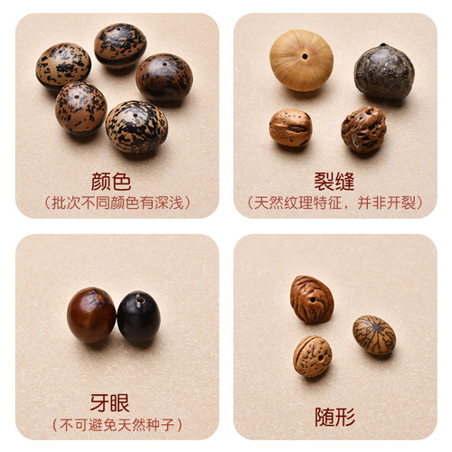 工料天下满愿种子十八子菩提散珠多宝菩提手串diy配件材料包批发 - 图0