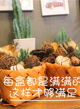 美物diy森林制作组合原木片松果