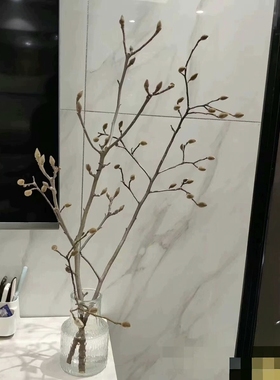 天然玉兰树枝干花客厅摆件百搭