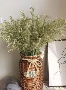燕麦永生干花束文艺拍照装饰