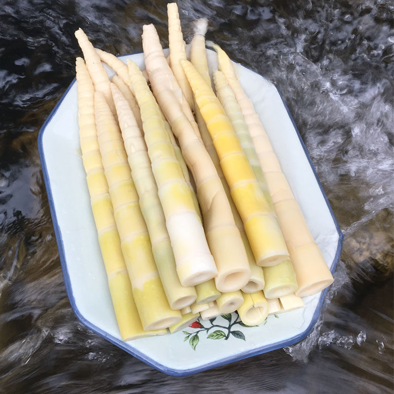 江西特产新鲜小竹笋野生清水笋袋装农家竹笋尖火锅笋子罗汉笋春笋_虎窝淘